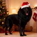 Dog Christmas Costume Funny Adjustable Wig Pet Costumes with Santa Hat for Medium Large Dogs Halloween Christmas Outfit, Black