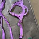 EzyDog Quick Fit Dog Harness – No Pull Harness for Training, Everyday Walking, and Easy Control - Adjustable Fit, Reflective, and Padded (Large, Purple)