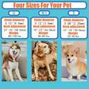 No Pull Collar, Adjustable Dog Collar Small Medium Large Dogs (S (Neck: 13"-17''))