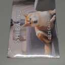Shiba Inu Calendar 2025 Monthly Wall Calender 12 Month | American Made In The USA