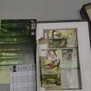 Lookout Games Forest Shuffle Card Game - Create an Ecological Paradise! Clever Strategy Game for Kids & Adults, Ages 10+, 2-5 Players, 60 Min Playtime, ECO-Friendly Packaging