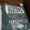 Pennington Kentucky 31 Fescue 40 LB Tall Fescue Grass Seed, Grass Seeds for Lawn