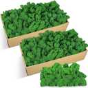 Jadive 21.2 oz Moss Preserved 1.32 Lbs Green Preserved Reindeer Moss Bulk Artificial Decorative DIY Kit for Craft Wall Decor Fairy Gardens Terrariums Art Project Table Floral Decor