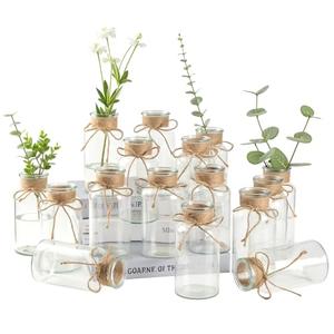 16 Glass Bud Vases 6.4“ H, Mason Jars Transparent Centerpiece Vases with Hemp Rope for Weddings Parties Farmhouse Decor