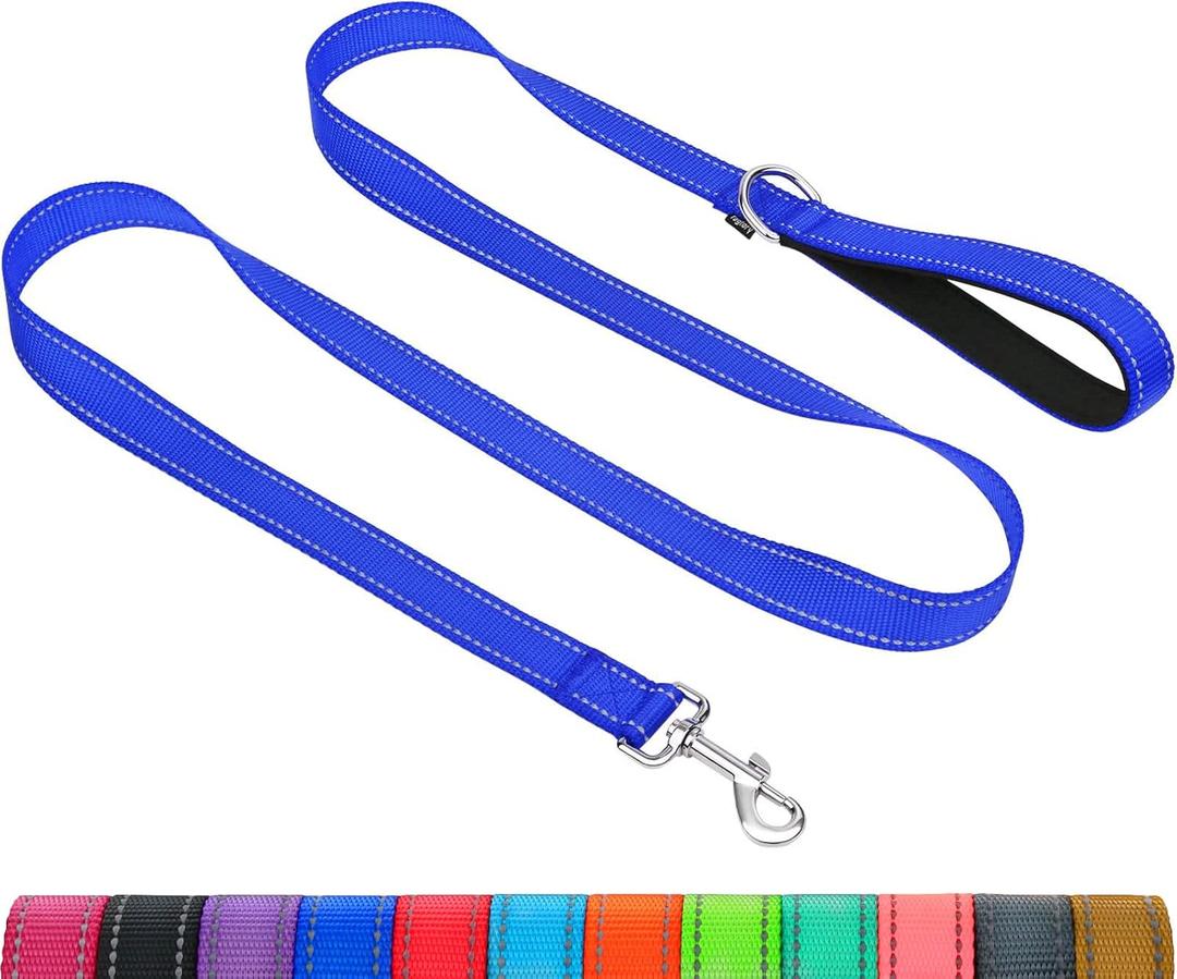 Taglory Dog Leash for Medium Large Dogs, Double-Sided Reflective Leash with Soft Neoprene Padded Handle, 1 inch by 6 ft, Fit Medium Large Breeds 20-150 lbs, Navy Blue