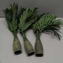 Hotop 104 Pcs Hawaiian Party Flower Centerpieces for Table Include 4 Artificial Palm Tree and 100 Hawaiian Hibiscus Tropical Faux Flowers Party Decorations Supplies Flowers for Hawaii Luau Theme Decor