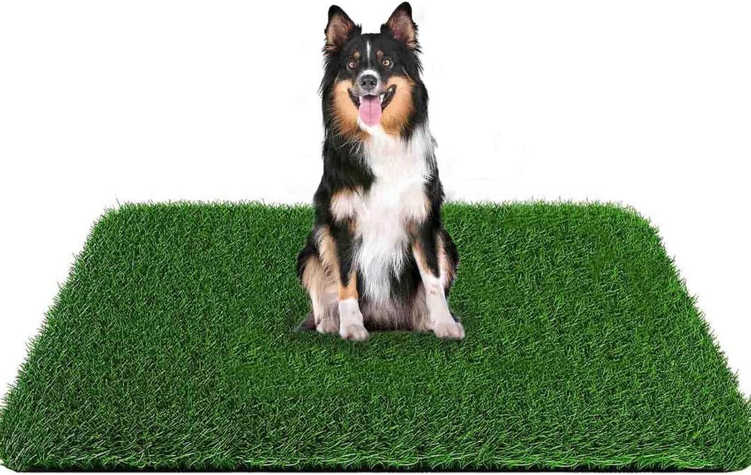 Grass Pad for Dogs 59.1 x 39.4 inches, Strong Absorbency Soft and Real Grass for Pets Potty Training, Easy to Clean Fake Grass for Dog Indoor Outdoor Use (1 Pack) (Green)