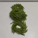 13.5 Inch Norfolk Pine Wreath Candle Rings, 6 Pcs Realistic Soft and Full Mini Christmas Wreath Table Centerpieces Candle Wreaths for Pillar Candles Cedar Small Wreaths for Cabinets Kitchen Windows