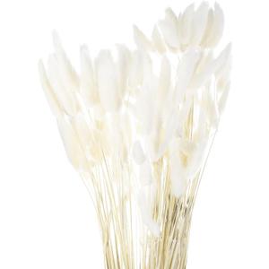 MECCANIXITY 120pcs Natural Rabbit Bunny Tails Dried Flowers 24" Mini Pampas Grass Lagurus Ovatus Bunch for Floral Wedding Decor Christmas, White