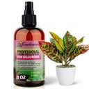 Liquid Silica Boost Fertilizer and Supplement Spray for AGLAONEMA Plants  Pre-Mixed, Ready-to-Use Liquid Silicon Plant Superfood Mist for Indoor & Outdoor Plants  8oz