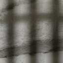 Madison Park Tufted Chenille Cotton Comforter, All Season Bedding Set, Matching Shams, Bahari, Coastal Palm Leaf Off White King/Cal King (104"x92") 3 Piece