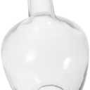 Zerodeko Clear Glass Hydroponic Vase for Home Design for Flower Arrangements and Centerpieces for Fresh Dried Plants Chic Decorative Container for Tables and Desks