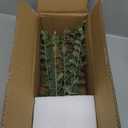 VIERENA 17.5" Artificial Eucalyptus Stems in Glass Vase with Faux Water,Fake Plant Eucalyptus Leaves White Seeds for Centerpiece Table Decorations Farmhouse Wedding Home Greenery Decor (Sage Green)