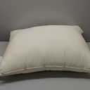 LOFE Organic Pillow with Pillowcase - 20x26 Organic Standard Pillow with 100% Organic Cotton Shell, Adjustable Loft Youth Plilow, Machine Washable, Soft, Perfect for Youth&Adults (Off White)