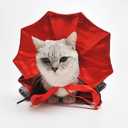 2 x Dog Cat Vampire Cloak Costume, Pet Halloween Cape for Small Medium Dogs Cats Puppy