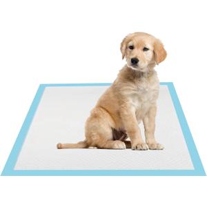 22x22 Dog Pee Pads 40 Count, Charcoal Puppy Training Pads, Super Absorbent 6-Layer Leak-Proof for Dogs, Fast-Drying, Potty and Floor Protection