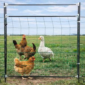 Leinuosen Electric Poultry Netting Gate, 50" H x 37" L Electric Chicken Fence Gate, Portable Poultry Nets Fence Kit for Chickens, Ducks, Turkeys, Sheep, Geese in Yard, Farms, Backyards, Garden