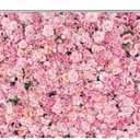 WOLADA Flower Wall Backdrop Pink Rose Floral Photography Backdrop Ideal for Wedding Valentine's Day Girl's Party Portrait Photo Shoots Bridal Showers Studio Props 7x5FT 11990