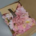 Floroom Mini Artificial Flower Heads Pink & Blush Fake Peony Daisy Rose Multicolor Small Faux Silk Flower Heads for Cake Craft Garland Wedding Party Graduation Cap DIY Home Decoration, 0.8"-3.6"