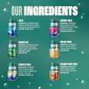 Zevia Zero Sugar Soda, Nostalgic Variety Pack, 12 oz Cans (24-Pack)  Naturally Sweetened, Non-GMO Project Verified, Gluten-Free, Vegan (EXP 02/15/27)