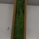 Artificial Faux Christmas Norfolk Pine Stems Branches for Vases,12 Bundles Fake Evergreen Real Touch Greenery Stem with 3 PCS Red Berry Branches for Xmas Holiday Winter Table Indoor Decor