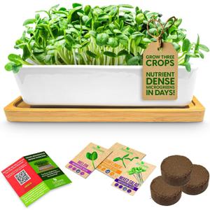 ZESTIGREENS Ceramic Microgreens Growing Kit to Grow 3 Crops Including Organic USDA Sunflower, Melon & Mixed Microgreens Seeds.