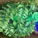 Crested Gecko Tank Accessories, Reptile Bridge and Plants with Coconut Shell Ladder Hideout, Natural Terrarium Decor for Lizard, Chameleon, Leopard Gecko, Snake, Hermit Crab and Tortoise (Group B)