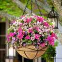 4 Pack 10 Inch Hanging Planters Metal Wire Flower Baskets with Natural Coconut Liners for Outdoor Plants Round Plant Holder Planter for Garden Decor