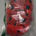 June Garden 12" Sweet Dolly Ladybug - Stuffed Ultra Soft Baby Doll for Birth and Up - Ladybug Outfit