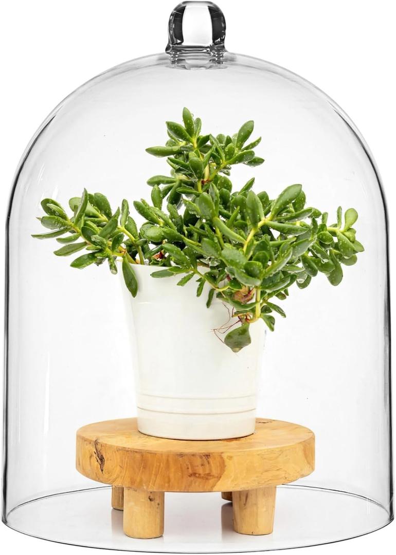Transparent Acrylic Cloche, 10×13" Thick Acrylic Dome, Large Display Cover, Dust-Proof Centerpiece Display Dome, Decorative Showcase Cover for Plants, Candles, Cakes