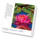 365 Bible Verses-A-Year Page-A-Day Calendar 2026: Timeless Words from the Bible to Guide, Comfort, and Inspire