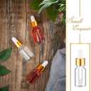 100 Pcs Mini Glass Oil Dropper Bottle Bulk, Clear Essential Small Empty Bottles Sample Containers Perfume Liquid Vials with Cap for Traveling (10 ml,Gold)