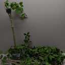 Bellacat Faux Black Olive Tree 7ft, Tall Faux Trees Indoor with Natural Trunk and Realistic Leaves. 7 Feet(84in) Artificial Tree for Home Office Dcor.