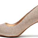 DREAM PAIRS Women's High Stiletto Heels Closed Pointed Toe Dress Pumps Shoes for Wedding Work Office Business, 3 Inches, 9.5 inches 