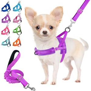 Lukovee No Pull Dog Harness and Leash Set, Soft Padded Small Dog Harness, Neck & Chest Adjustable Reflective Vest Puppy Harness with 4ft Lightweight Anti-Twist Dog Leash for Small Dogs (XS, Purple)