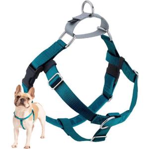 2 Hounds Design Freedom No Pull Dog Harness, Adjustable Harness, Easy Walking & Comfortable Control, Fits Small, Medium & Large Dogs, Solid Colors, Made in USA, 1" LG, Teal