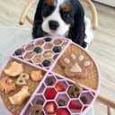 BUDDY BUDDER 12pk Variety Pack Squeeze Pack 100% All Natural Peanut Butter for Dogs (EXP 12/31/27)
