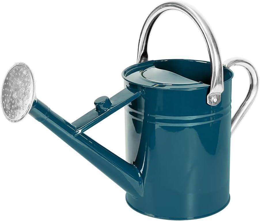 1 Gallon Metal Watering Can with Removable Spout, Nice Galvanized Steel Water Can for Indoor and Outdoor Plants (Ocean Blue)