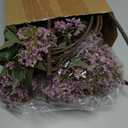 Dingion 3 Pcs 43 Inch Dusty Plum Berry Stem Artificial Spring Faux Sedum Stem Spray Flowers Realistic Flowers Branches Floral Picks for Vase Wedding Holiday Mantel DIY Harvest Seasonal Home Decor