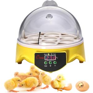 360 View 7-Egg Poultry Incubator for Hatching Chicken, Duck, Goose, Parrot, and Quail Eggs, with Temperature Control, Yellow, ZM003