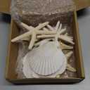 JQAQJU 3-4 Inches Large Starfish and Scallop Shells for Crafts 12PCS, Natural Beach Sea Shells for Crafting, Baking Shells Perfect for White Christmas Decor Beach Party Wedding Fishtank DIY Crafts