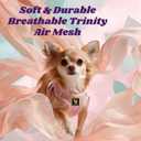 EcoBark Step in Dog Harness - Eco-Friendly Dog Halter Harness for XS, Small, & Medium Breed Dogs - Soft Luxurious Mesh - Reflective and Adjustable - Dog Body Chest Harness Vest (Baby Pink, Medium)