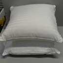 Oubonun 16 x 16 Throw Pillow Inserts, Firm and Fluffy Decorative Square Pillows for Couch Bed Sofa with Soft Cotton Cover White Cushion with Down Alternative Pack of 2