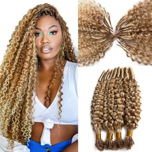 Micro Pre Looped Crochet Human Hair Extensions 20 Inch 50G Burmese Curly Human Feather-Line Invisible Crochet Hair Pre Separated Knotless #27 Honey Blonde Highlight Corchet Human Hair Extension