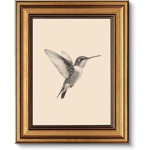 VIYYIEA Vintage Gold Framed Wall Art for Living Room, Birds Canvas Prints Home Decor, Sketch Painting Picture, Bedroom Wall Decor Gifts for Friends or Family -Hummingbird-(10L x 8W)