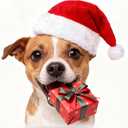 IZUS Women Men Christmas Santa Hat Velvet Red Hats with Fluffy Plush White Brim/Pom for Xmas New Years Holidays Party (One Size)