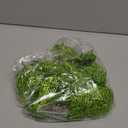 Boao Green 24 Pieces Poinsettia Flower Christmas Glitter Artificial Poinsettia with Clips Christmas Tree Ornament Decorations for DIY Xmas Wreath Holiday Home Party Decor, 3/4/6 Inches