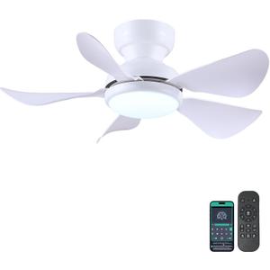Kviflon 32 Inch Modern Ceiling Fans with Lights, Small Flush Mount Ceiling Fan with Light and Remote/ APP Control, 5 Reversible 6 Speeds Curved Blades, 3 CCT Dimmable Lights for Kids Room, White