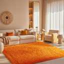 Ophanie Orange Fall Rugs for Bedroom Living Room, Fluffy Fuzzy Furry Carpet, Plush Soft Shaggy Bedside Indoor Floor 4x6 Area Rug for Kids Girls Boys Baby Teen Dorm Nursery Home Decor Aesthetic