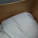 Indulgence Side Sleeper Pillow by Isotonic 36"x20" King (King (Pack of 1))